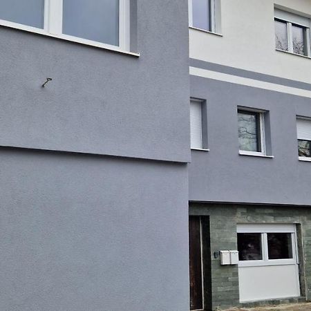 Adam'S Ferienapartments 巴特斯哈尔巴赫 外观 照片