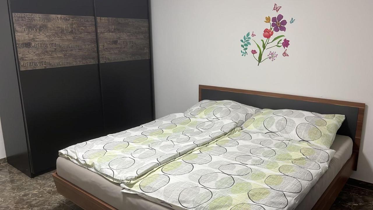 Adam'S Ferienapartments 巴特斯哈尔巴赫 外观 照片
