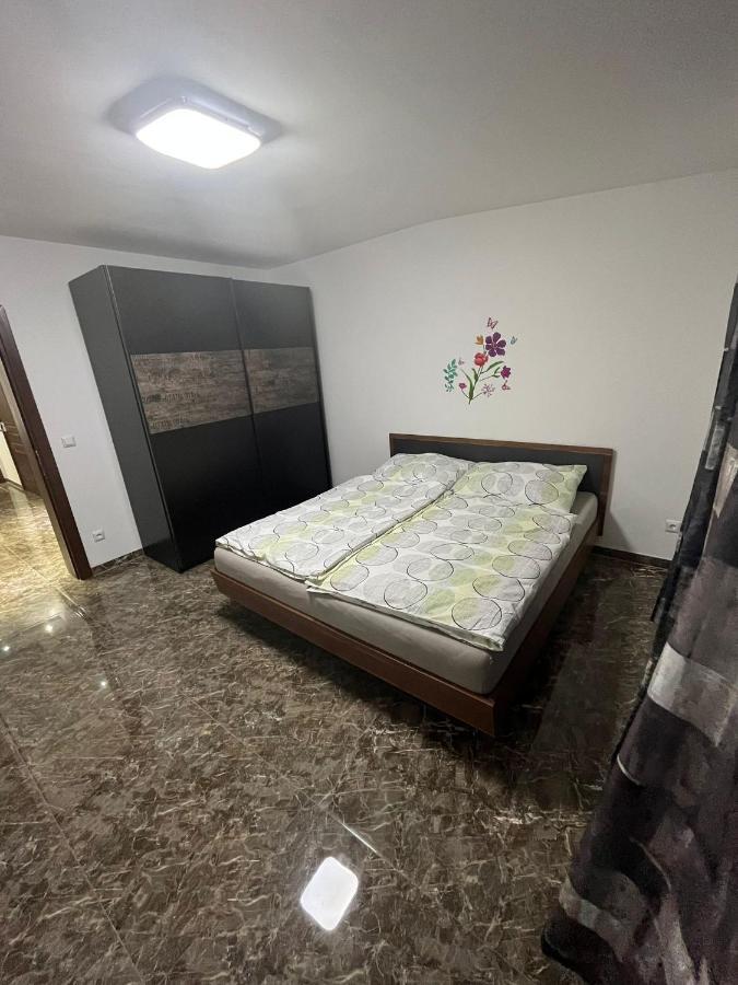 Adam'S Ferienapartments 巴特斯哈尔巴赫 外观 照片